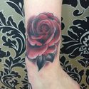 sacred-ink-rose