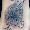 sacred ink Black & Grey  Lily Foot