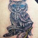 Sacred Ink owl