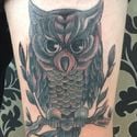 sacred ink owl