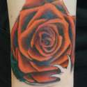 Sacred Inkâ„¢ Colour Work  Rose