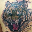 sacred-ink-tiger
